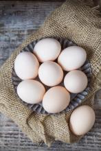 38% of eggs in Europe are Ukrainian