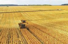 Кабмин предлагает передать фермерам 500 тыс. га сельхозземель 