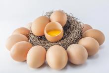 Ukraine has exported 29.3 thousand tons of eggs in 2018