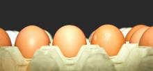 Цены на куриные яйца выросли в два-три раза