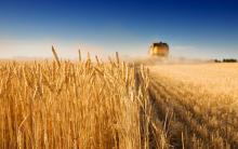 2018 Ukraine's agrarian sector export portfolio assembled