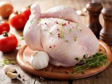 Ukraine will significantly increase the export of chicken meat this year