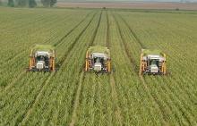 Агрохолдинги обрабатывают треть земель всех сельхозпредприятий 
