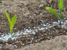 Grossdorf launches fertilizer plant in Cherkasy region