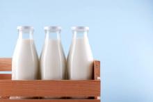 Experts examined Ukrainian milk for antibiotic