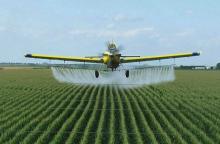 Доля фальсифицированных пестицидов на рынке Украины составляет от 25-30% 