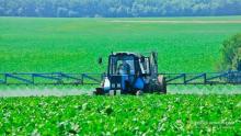 В Украине нет ни одного предприятия по утилизации агрохимикатов
