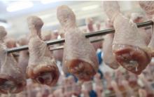 Ukraine increased poultry meat exports by 18%