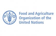 FAO plans to launch two important agricultural projects in Ukraine