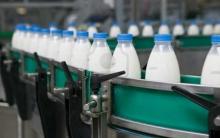 В Україні перевірять факти функціонування фейкових молокозаводів