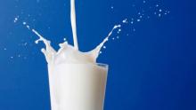 Українці збільшили споживання базарного молока в 1,8 рази
