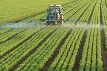  Мы добились, чтобы законодательно не позволили ввоз в страну несертифицированных пестицидов