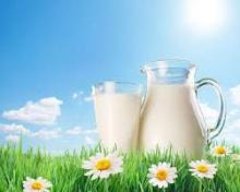 Opinion: Ukrainian milkmen should not rely on world markets