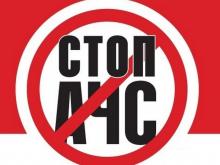 New outbreaks of ASF recorded in the Sumy region