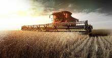 Инвестиции в аграрный сектор Украины за первое полугодие выросли на 10% 