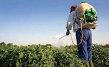 Мнение: Украине нужен новый закон для регулирования рынка пестицидов