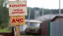 ASF: new cases in Poltava and Kherson regions 