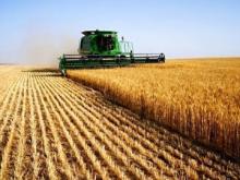 Agriculture has become the most profitable branch of the Ukrainian economy in 2017