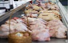Share of poultry meat in the export structure exceeded 83%
