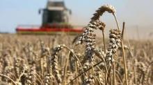 В Україні хочуть створити спецфонд зі страхування аграріївSpecial fund for insurance of agrarians is to be created in Ukraine