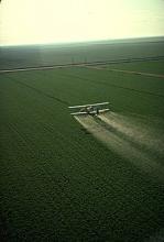 Отравление тернопольцев: экологи призвали Президента запретить авиаобработку полей химикатами