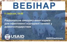 Проект USAID "Підтримка аграрного і сільського розвитку" спільно з АТУ проведуть вебінар про ефективну годівлю свиней