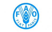 ФАО впроваджує новий проект що допоможе розвитку фермерства в Україні