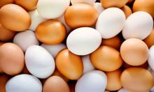 В Україні обвалилися ціни на яйця
