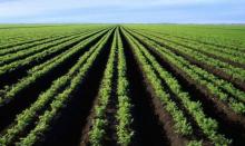 Аграріям готують кредити на купівлю землі під 3% річних на 8-10 років
