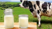 В Україні частка молока першого ґатунку зросла у 7 разів
